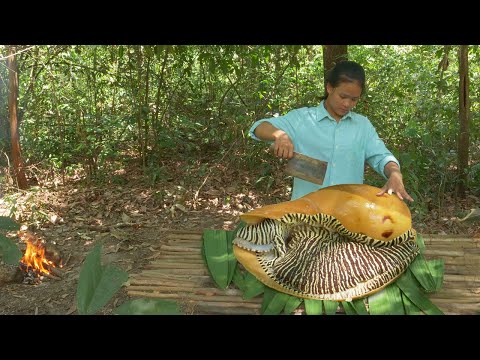 Monster Sea Snail Cooking In Rainforest - Giant Seafood Cooking Incredible