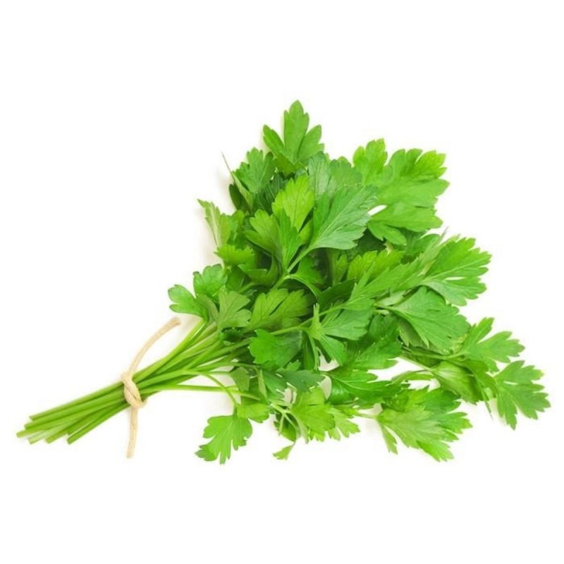 italian parsley