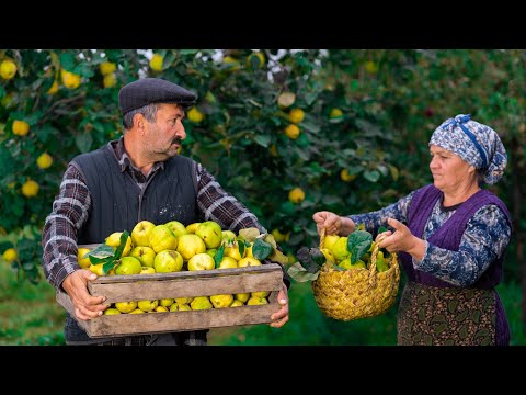 Cooking QUINCE DISHES in Season for a Perfectly Delicious Dinner