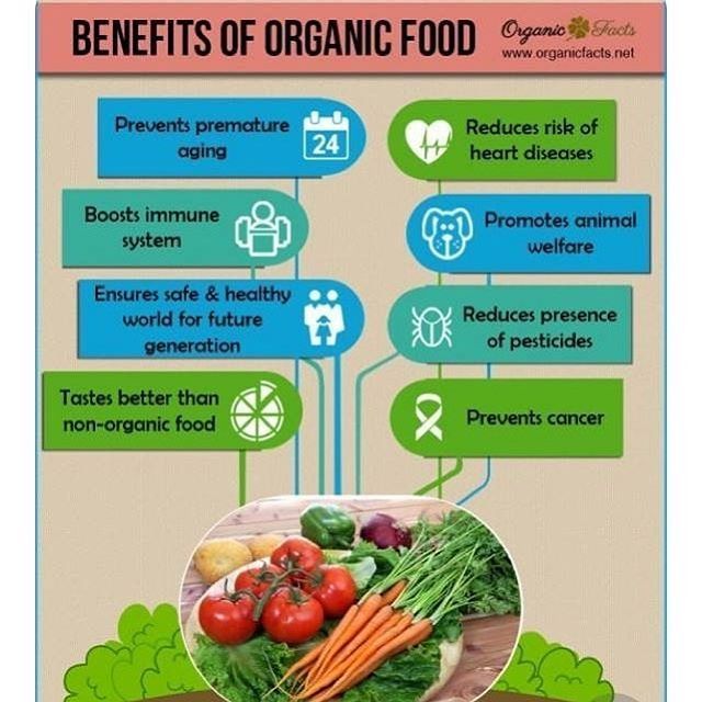 Benefits of Organic Farming Practices for Soil Health