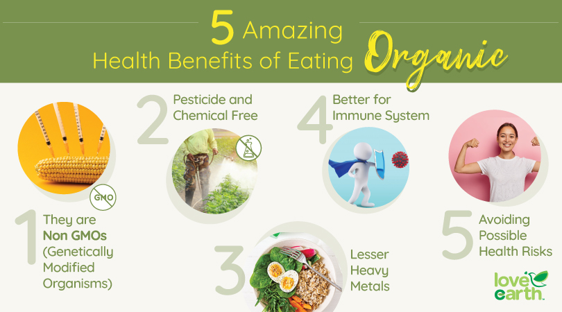 Benefits of Organic Farming Practices for Soil Health