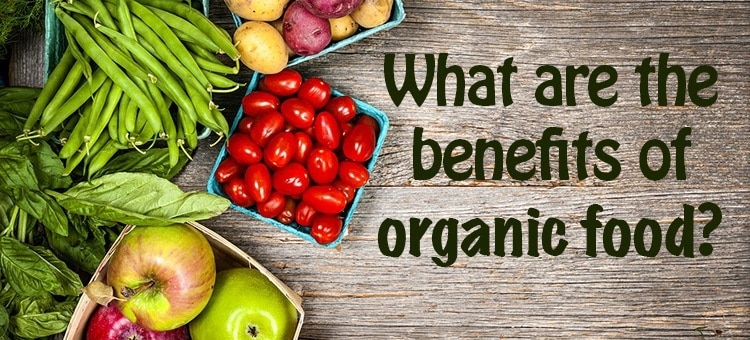 Benefits of Organic Farming Practices for Soil Health