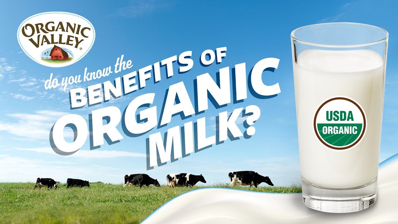 Milk of Human Kindness - Organic Milk Farming