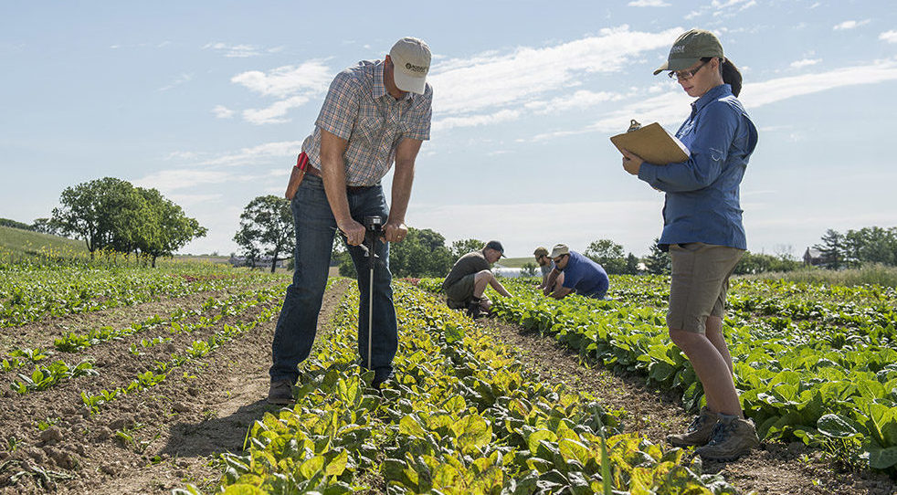 Why Bill Gates Is Buying Up U.S. Farmland