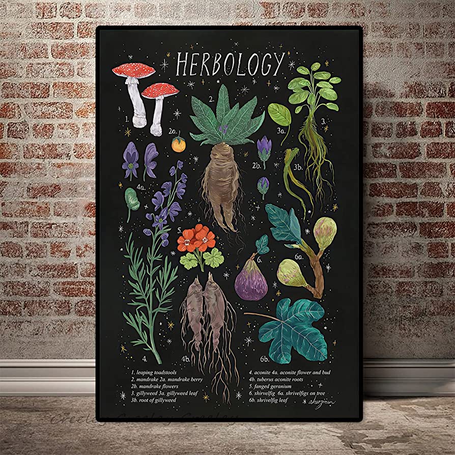 Herbology Book - Harry Potter DIY