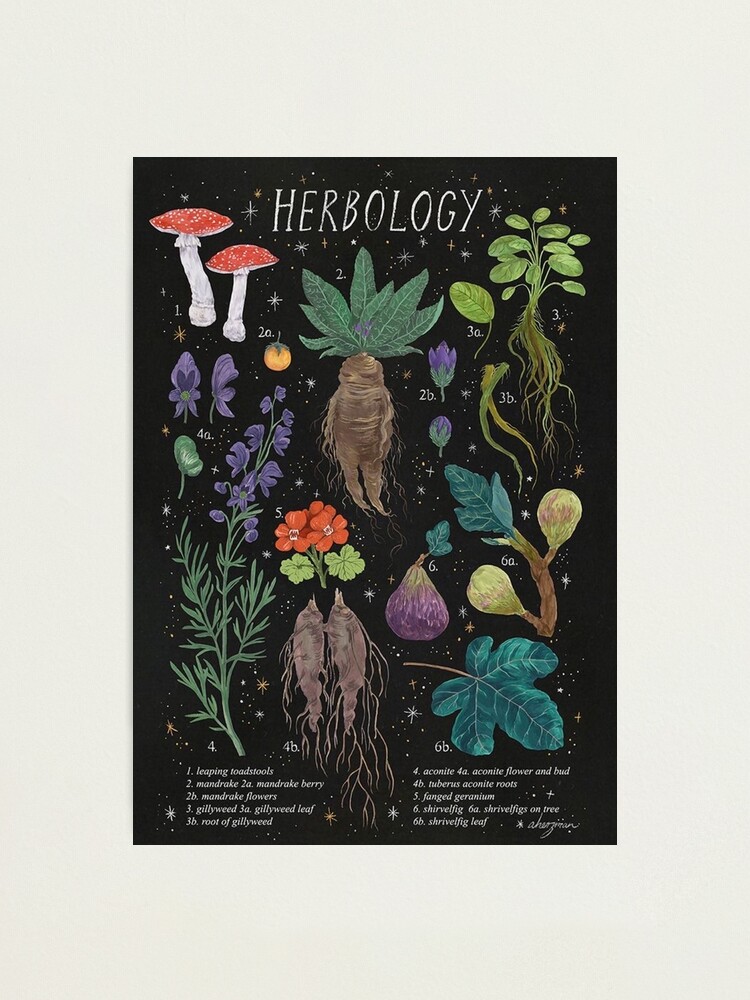 Herbology Lesson