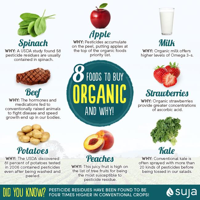 The Benefits of Eating an Organic Diet