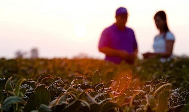 Local organic farming