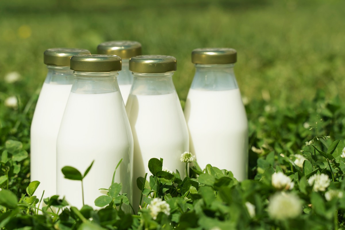 Organic Milk vs Raw Milk | Bumblebee Apothecary