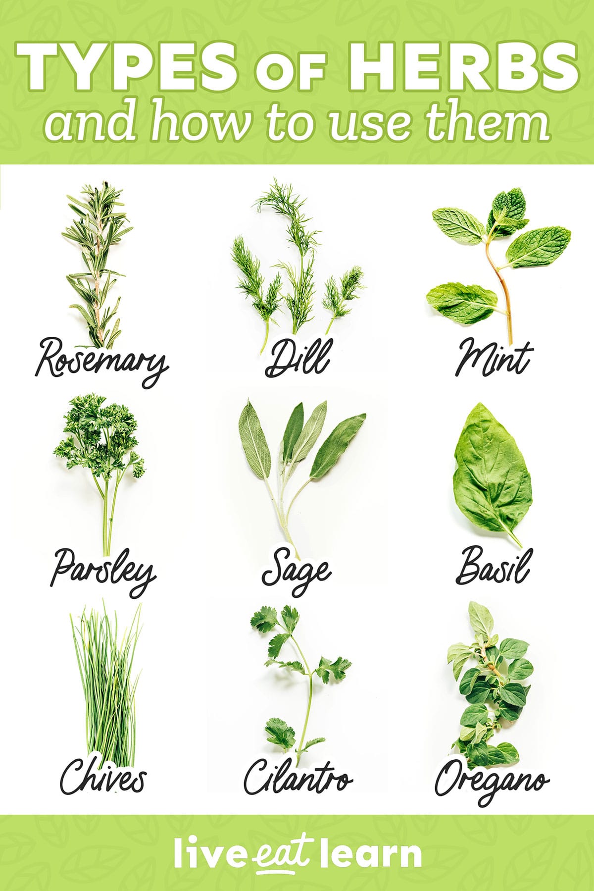 More Tips for Your Herb Container Garden! Basil, Oregano, Mint, Cilantro, Tarragon