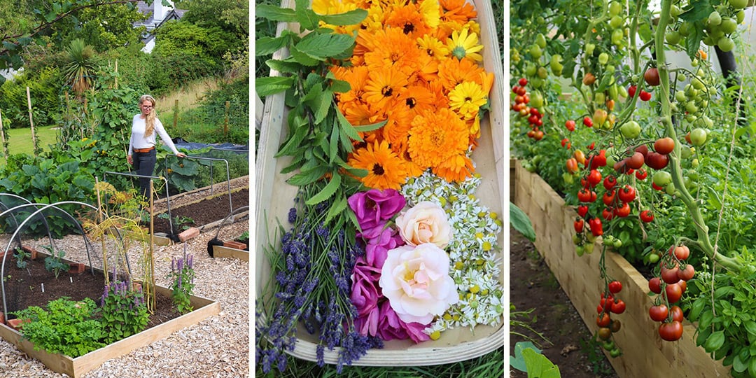 Organic gardening tips for homegrown produce