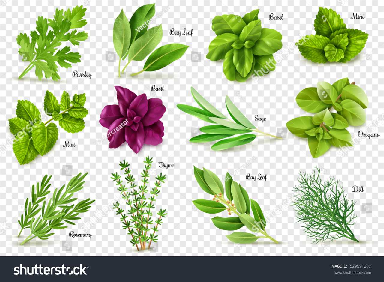 Herbs for Seasoning Rice and Grain Dishes
