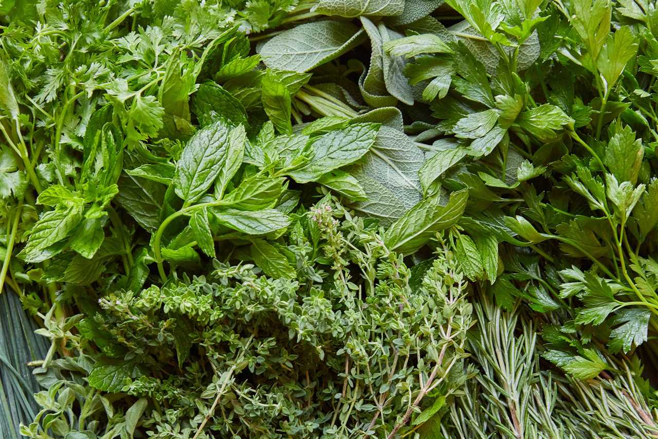 Herbs for Seasoning Italian Dishes