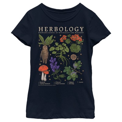 🌿 Herbology 1 Review - Herbs that Cool the Blood (Extended Live Lecture)