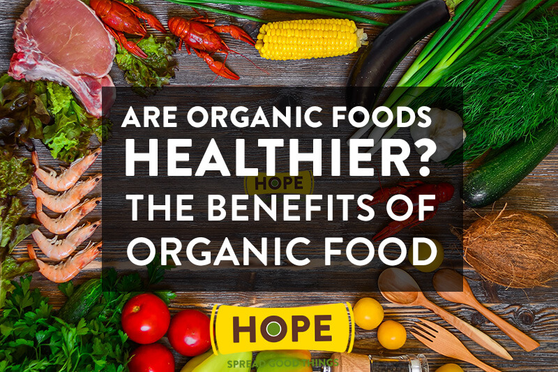 Organic Vs Non-Organic Baby Food