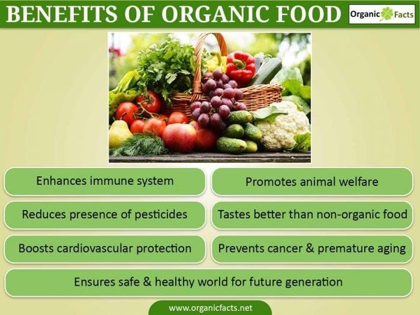 Is Organic Food a Scam?