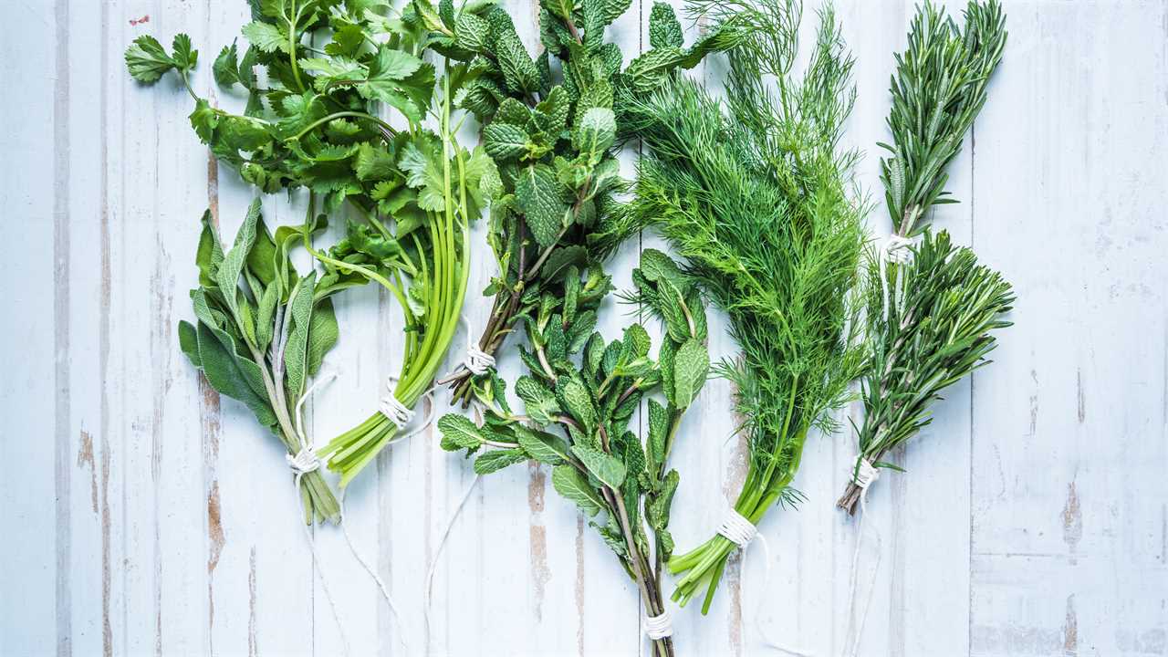 On sunny spring day in the village, two young women gathered herbs from the yard and prepared lavash