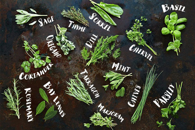 On sunny spring day in the village, two young women gathered herbs from the yard and prepared lavash