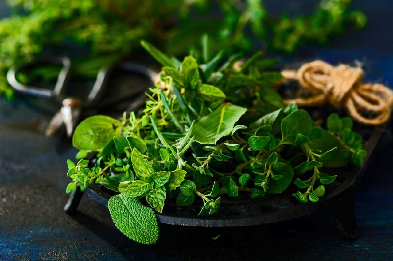 On sunny spring day in the village, two young women gathered herbs from the yard and prepared lavash