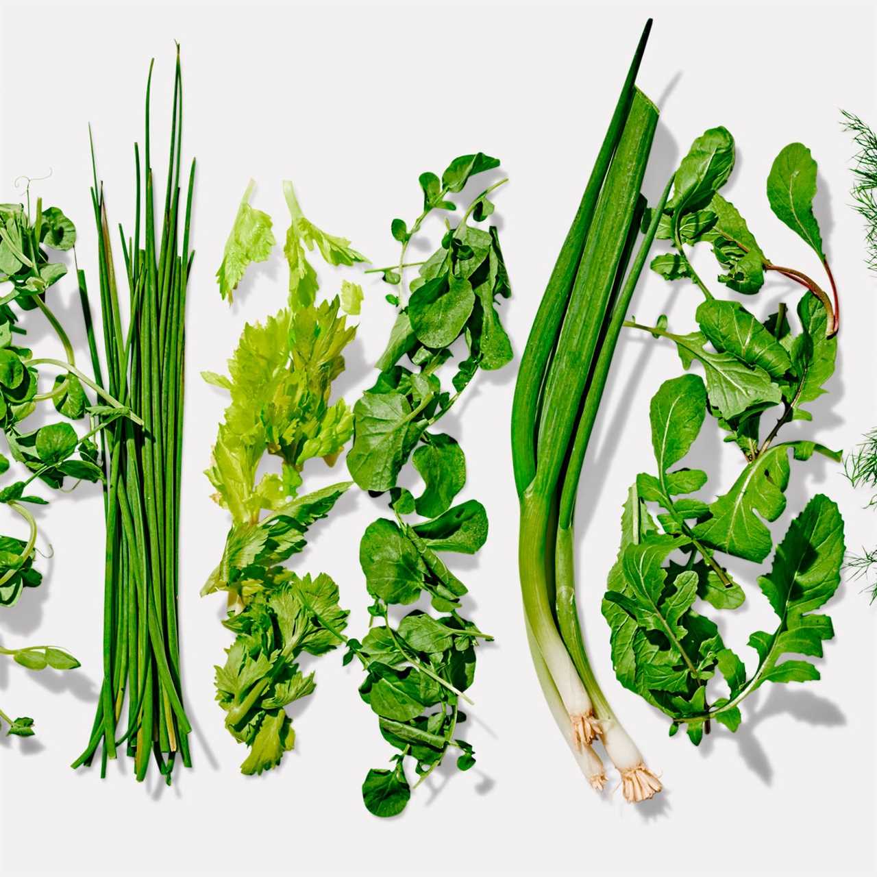 On sunny spring day in the village, two young women gathered herbs from the yard and prepared lavash