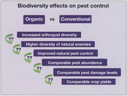 Impact of organic farming on biodiversity