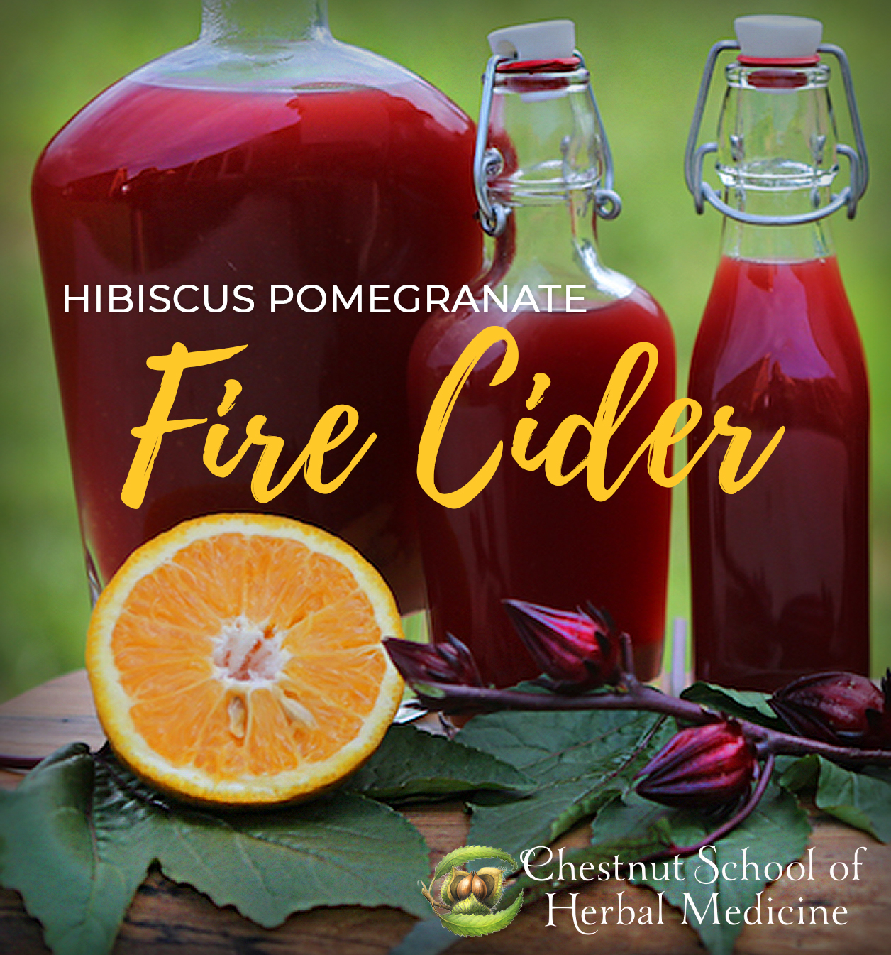 Hibiscus Pomegranate Fire Cider