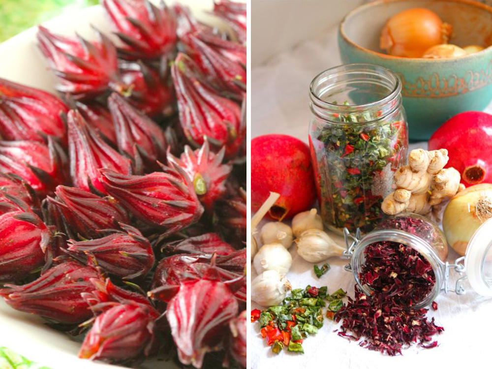 hibiscus fire cider ingredients