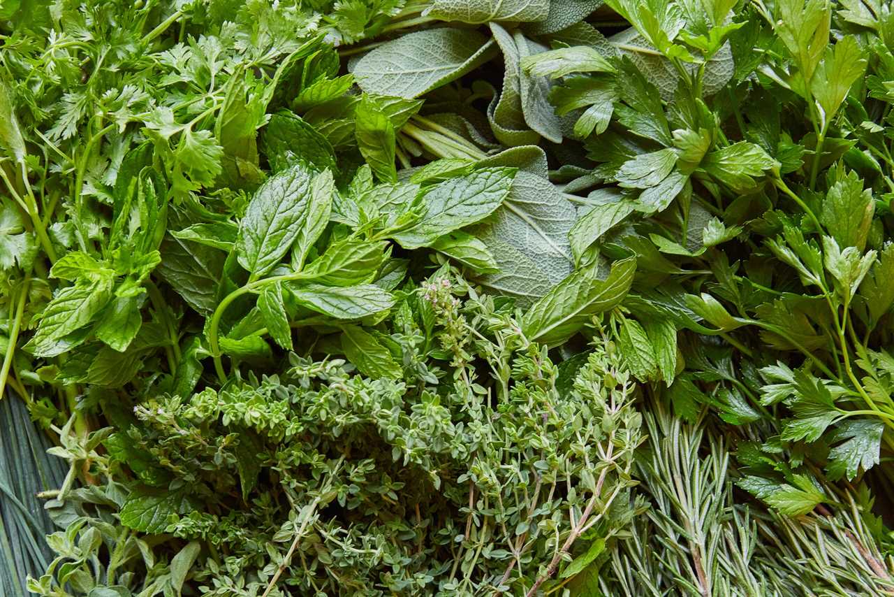 Tradional herb garden /Old Fashioned Shortcake and Tea