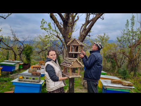 Cooking Delicious Food for Iftar and Building a Stunning Bird House. Country Life Vlog!