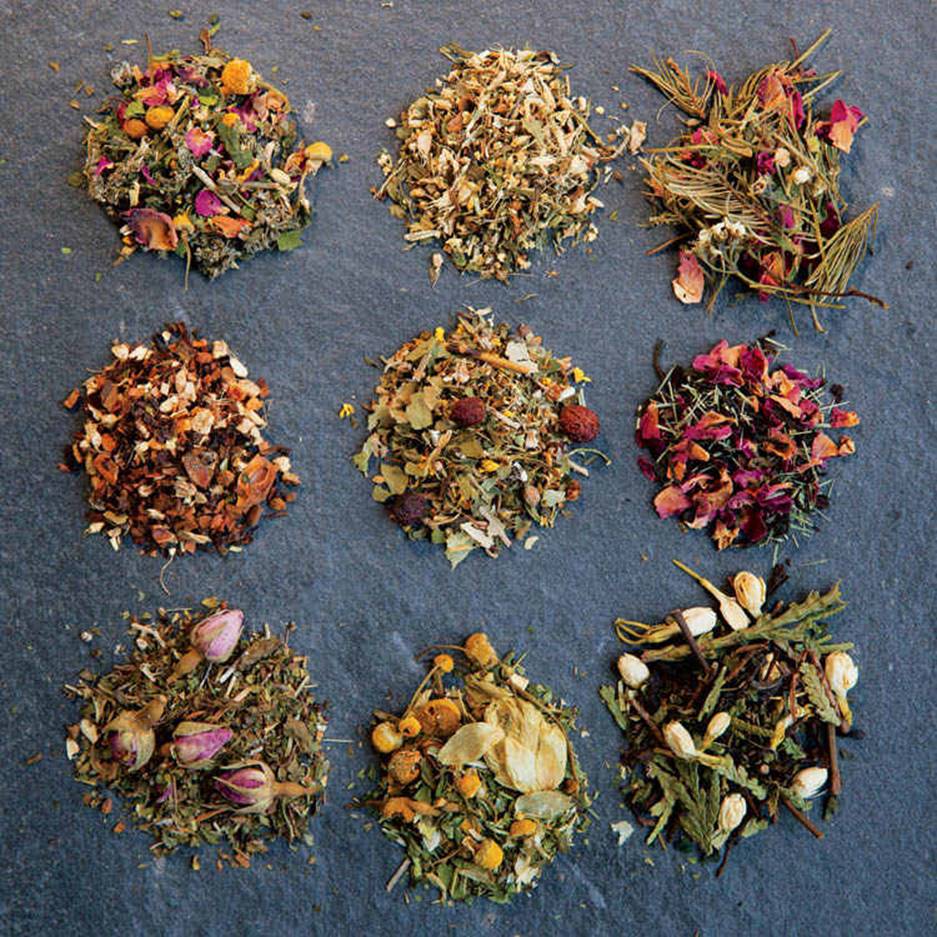 Herbs for making herbal teas and infusions