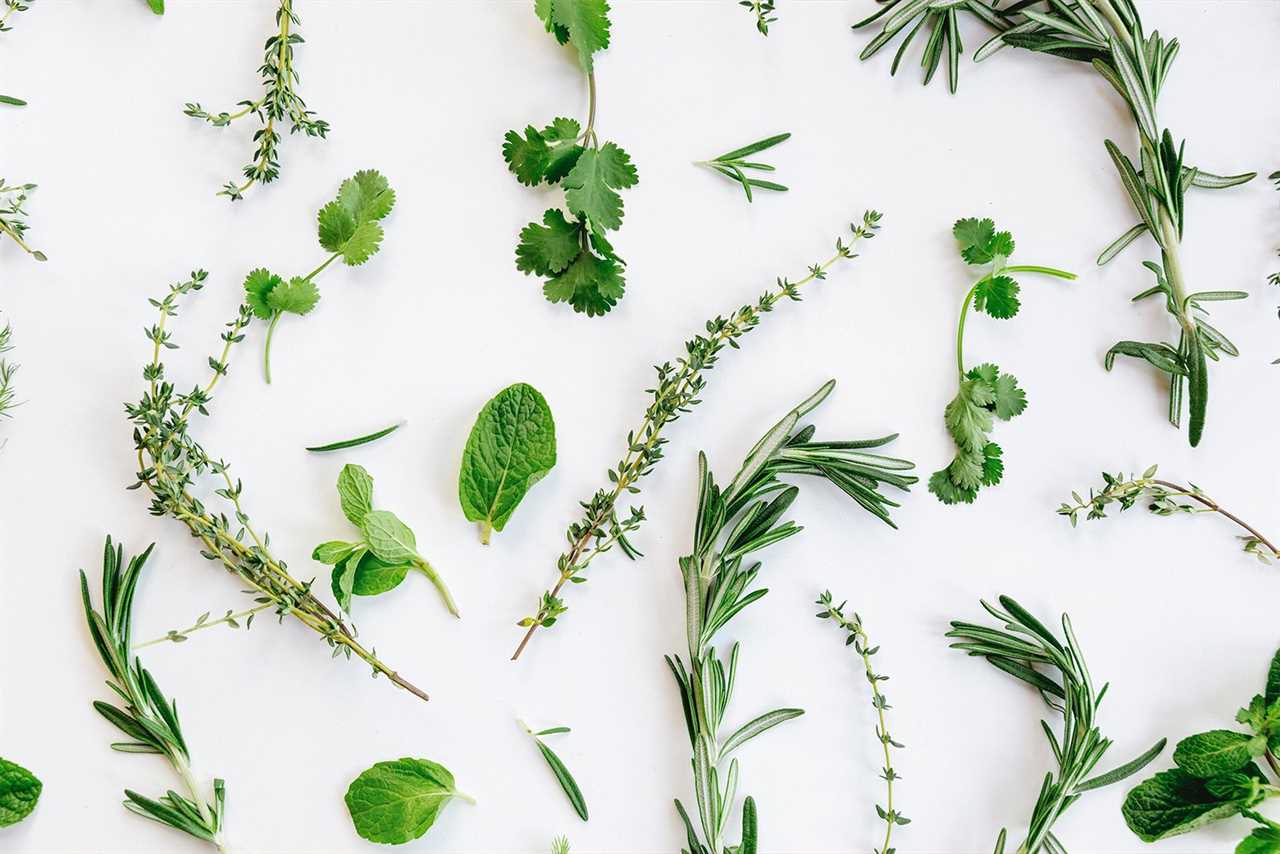 Herbs for Your 2020 Medicinal Herb Garden