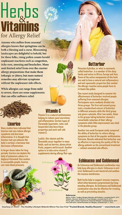 Herbs for reducing symptoms of allergies