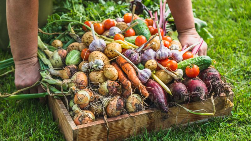 Organic Farming: is More Better?