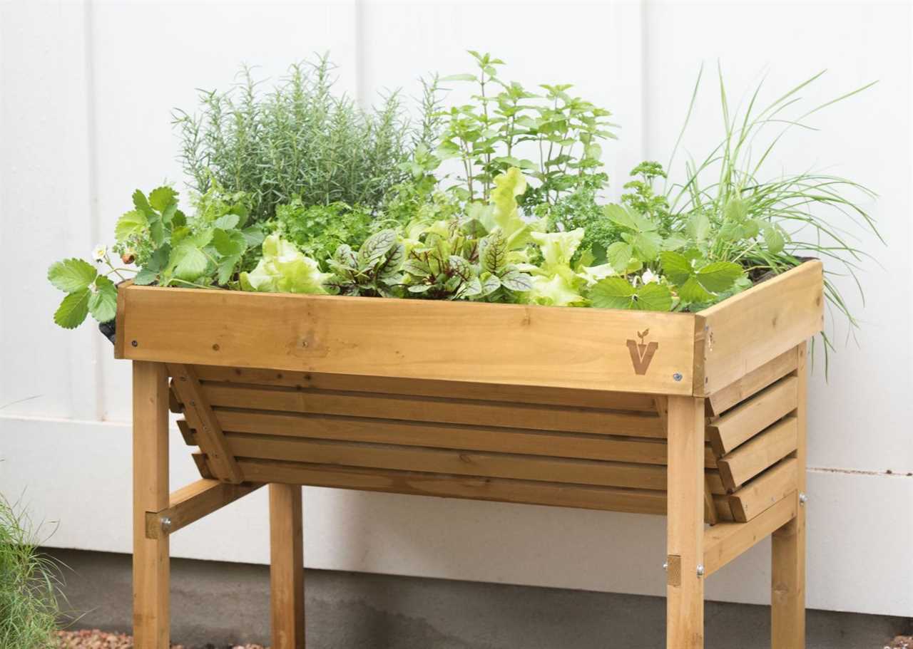 Grow Unlimited Herbs for Free Using an Old Pallet