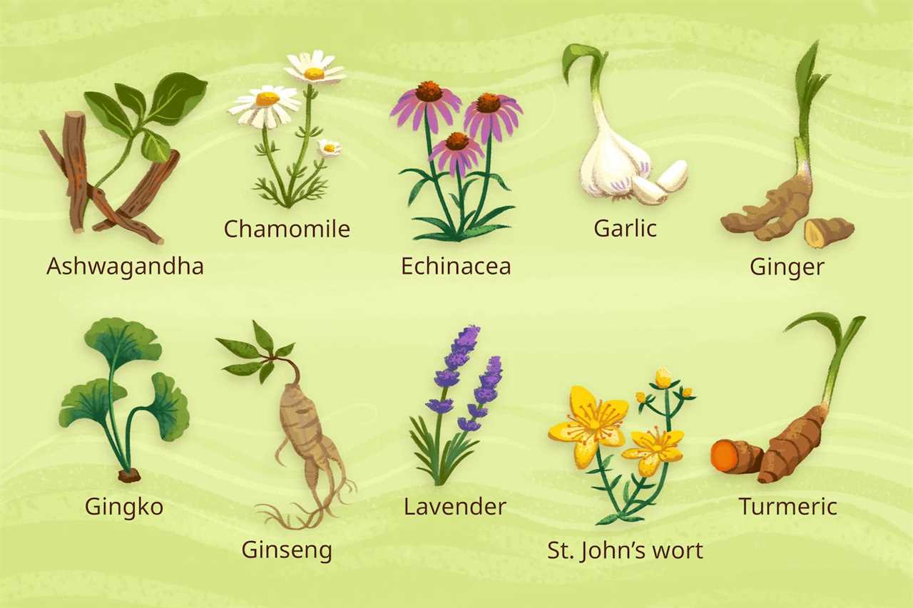 7 Medicinal Herbs for Urban Gardens