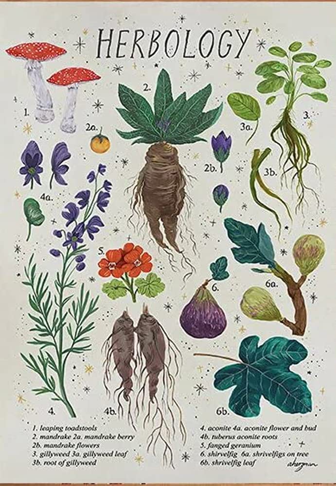 THE NATURE OF ENERGETIC HERBALISM: In Conversation with Kat Maier and Rosemary Gladstar