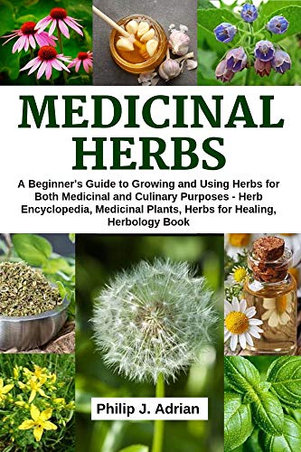 6 Plants to Grow in Your First Medicinal Herb Garden