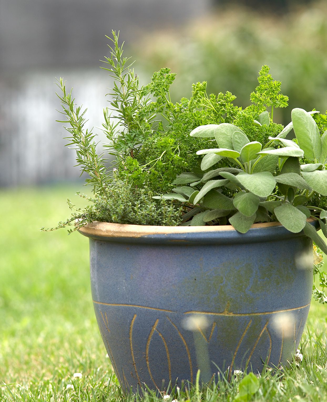 Harvesting Comfrey + DIY Herb Drying Rack