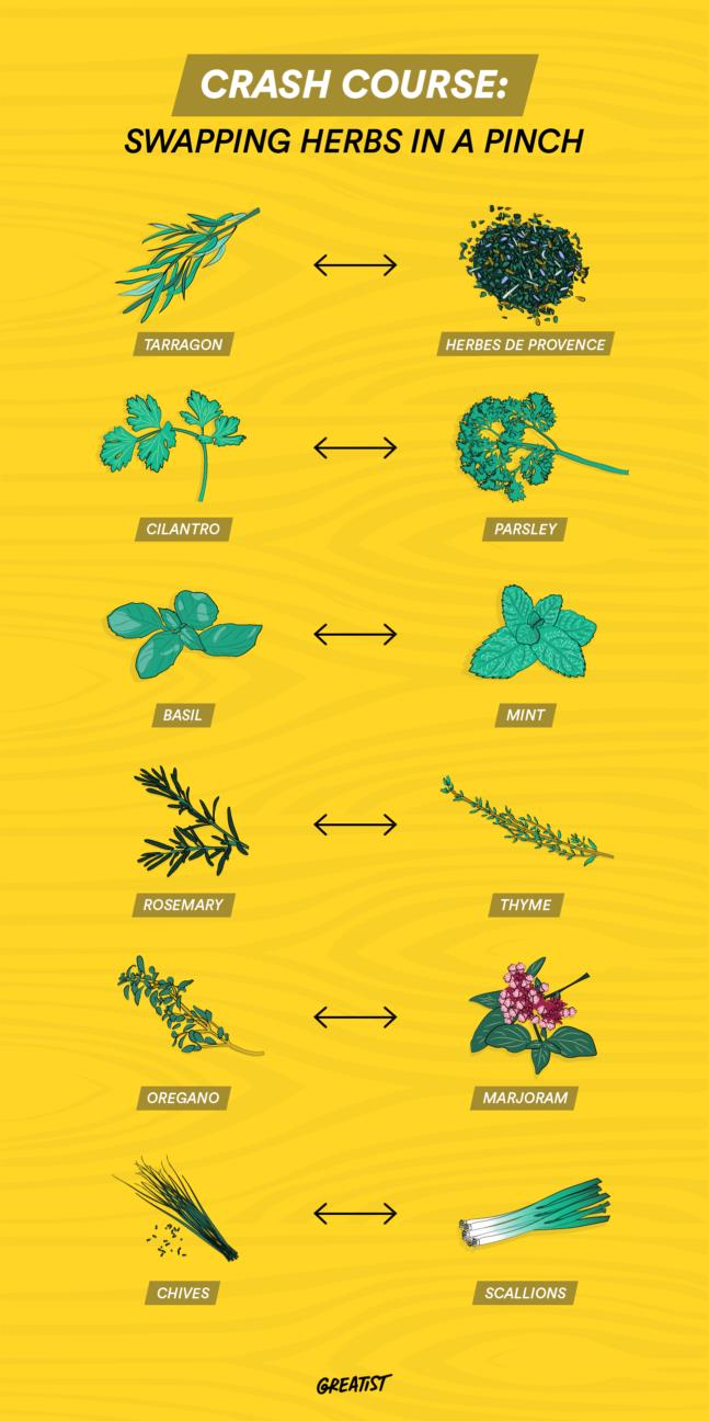 The Ultimate Grain Experiment for Mycology