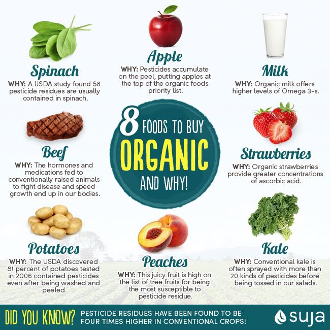 they doubted that it could be done... How to Actually get ORGANIC FRUIT from your Backyard Garden