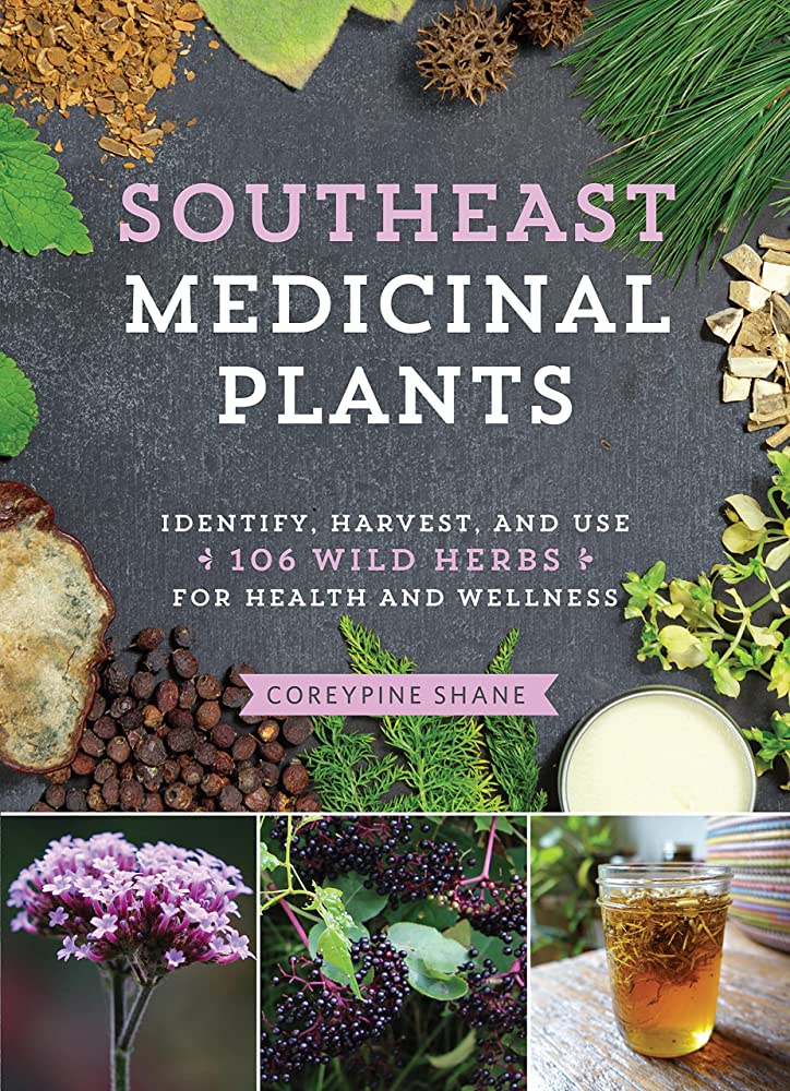 A Beginners Guide to Herbalism | Plant-Based | Well+Good