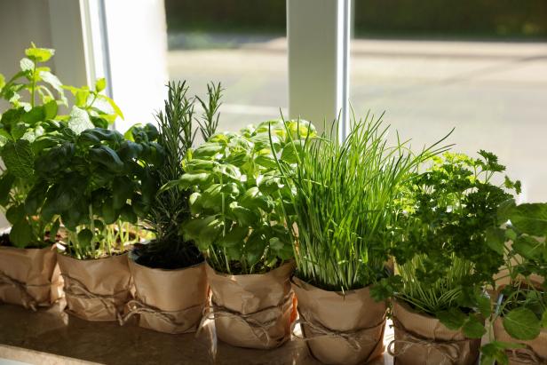 SPRING GARDEN 🪴 : Cleanup and Planting Herbs in Pots for a Beautiful Display!