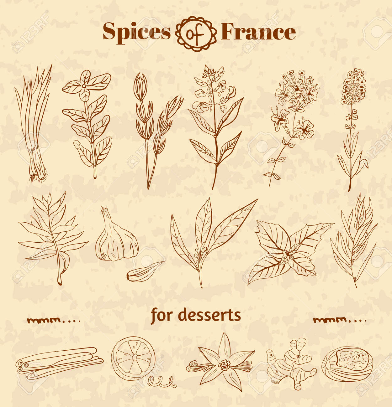 Guide to using herbs in French cuisine