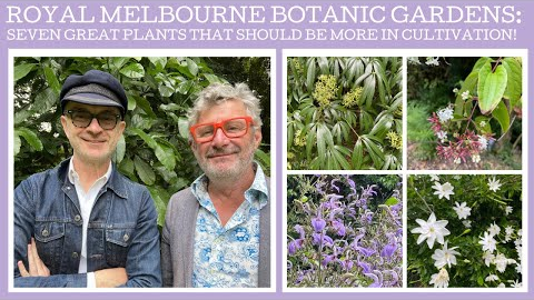 Royal Botanic Gardens Melbourne: seven great plants that should be in wider cultivation!