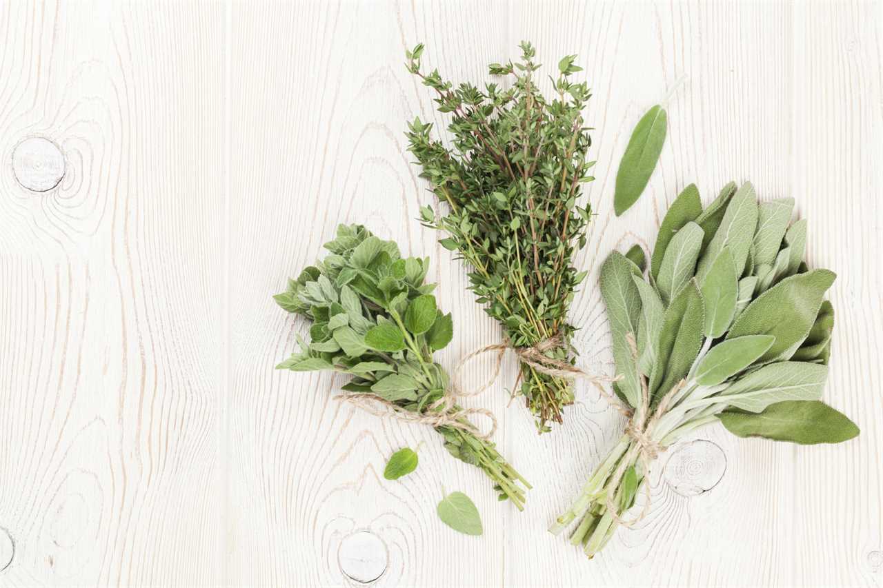 Common and Accessible Herbs for Stress and Anxiety | Plant-Based | Well+Good