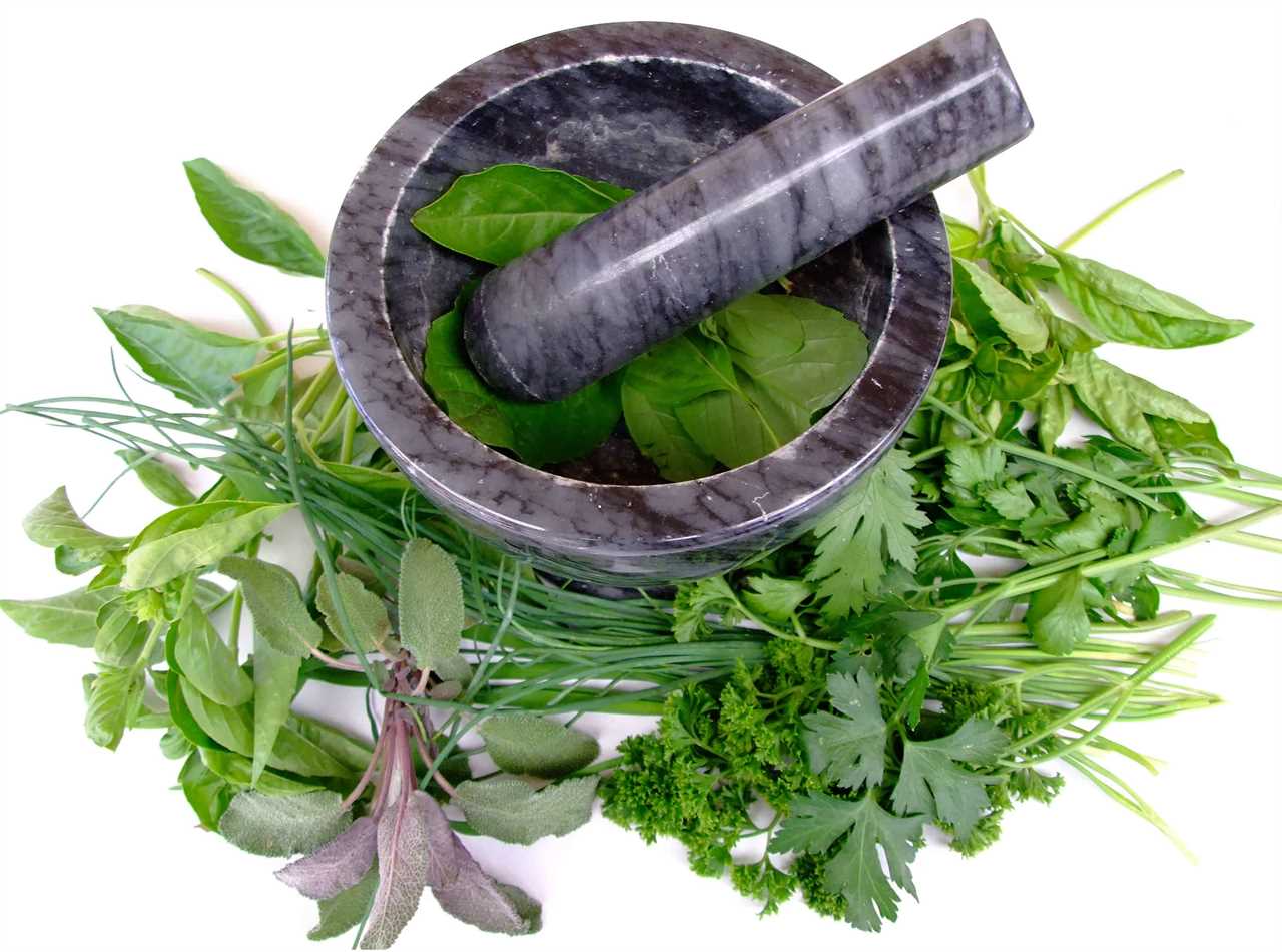 Aromatic Indian Herbs for Herbal Teas and Infusions