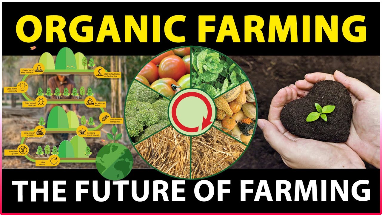 Organic Crops! Organic Farming