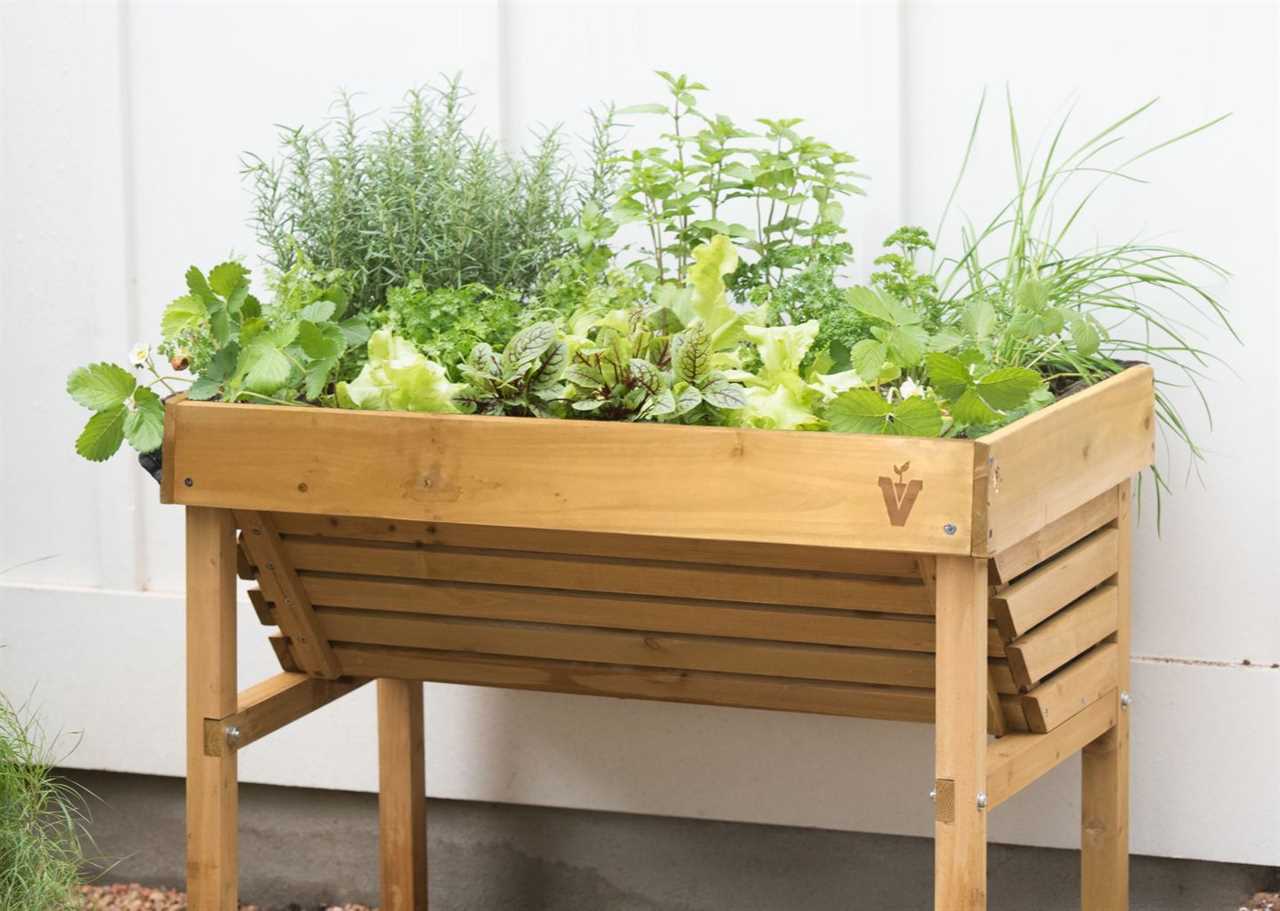 How I Started My CONTAINER GARDEN: Easy to Grow Vegetables, Space Saving, Renter Friendly Planting🪴