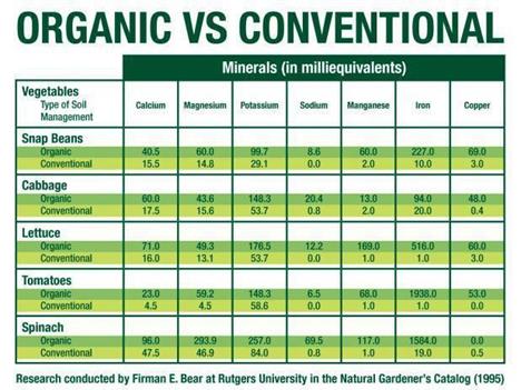 The Difference Between Organic and Non-Organic Vegetables