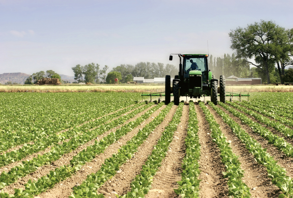 Organic farming and weed control